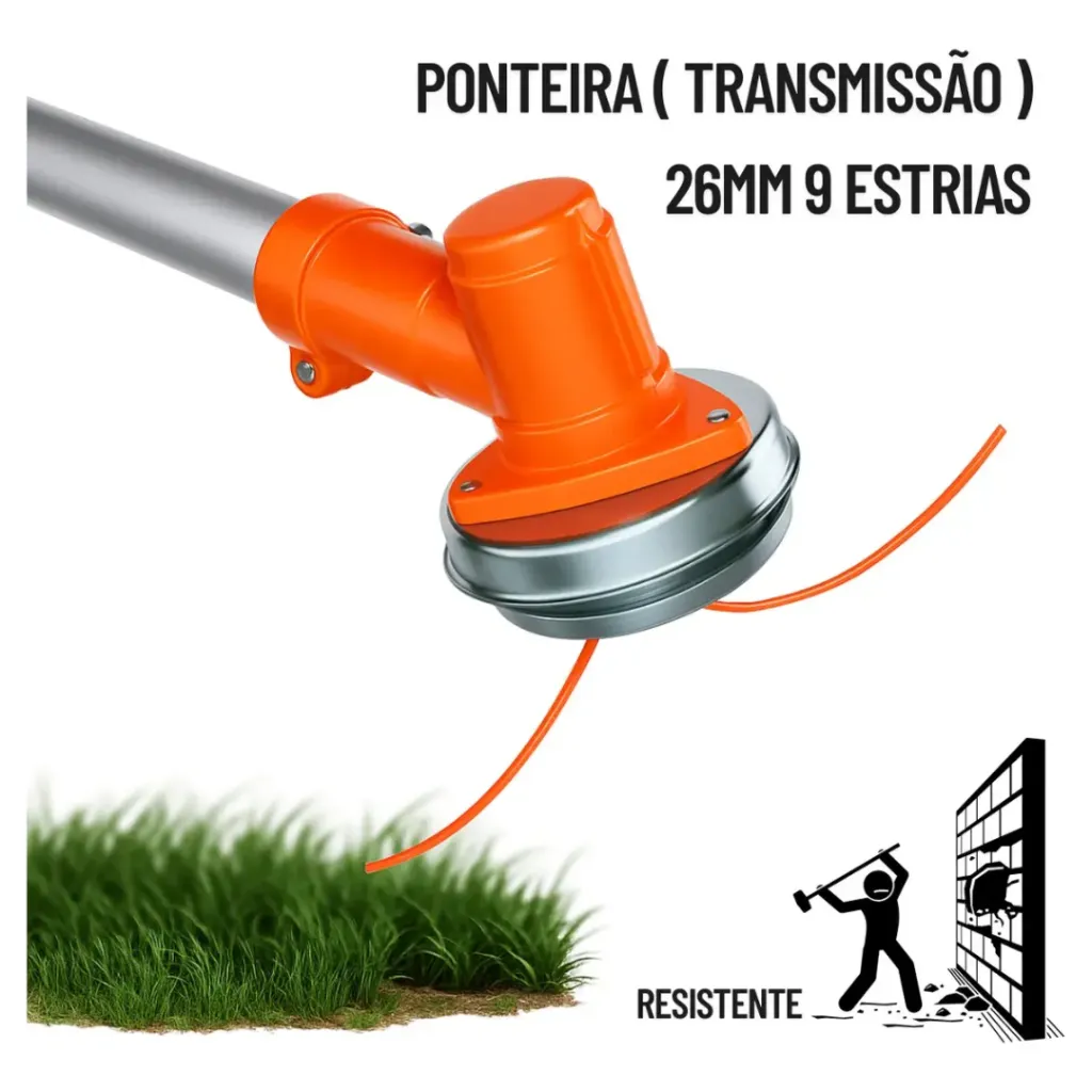 Design sem nome (71).webp
