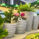Design sem nome - 2026-05-26T095502.122.webp