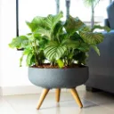 Design sem nome - 2026-05-26T141259.290.webp