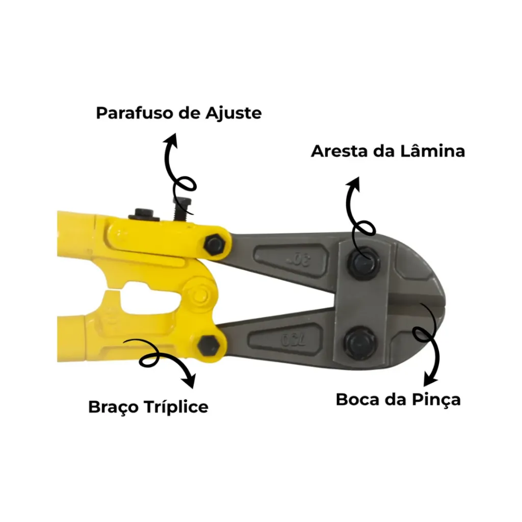 Design sem nome - 2026-05-27T162930.929.webp